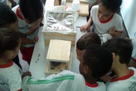 Utilização de abelhas sem ferrão (apidae) em práticas de educação ambiental com estudantes de Governador Mangabeira, Bahia, Brasil